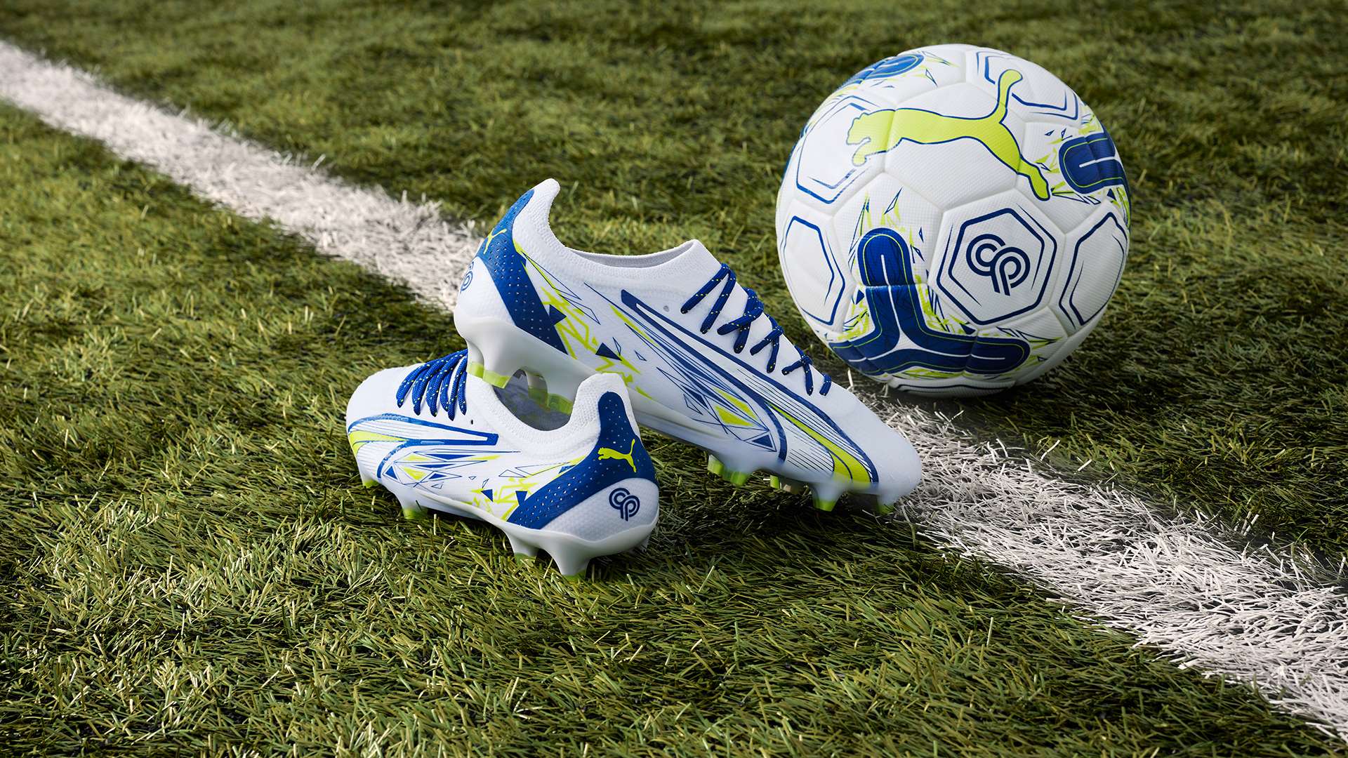 态使得他们 态使得他们